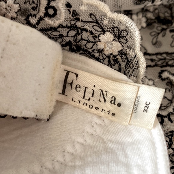 NWOT FELINA Lingerie Set - 32C Bra and matching Boy Shorts - Picture 8 of 8